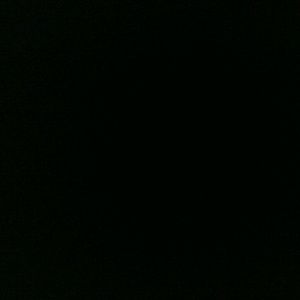 Meet your Posher, Lucy